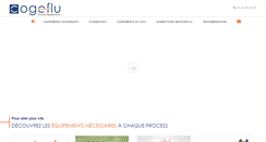 Desktop Screenshot of cogeflu.com